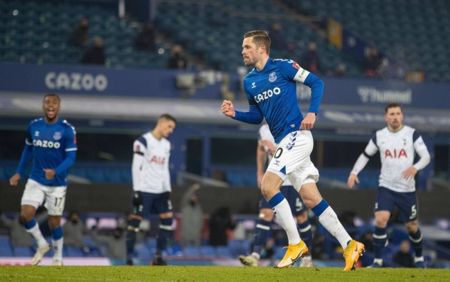 马近年来的 马近年来的